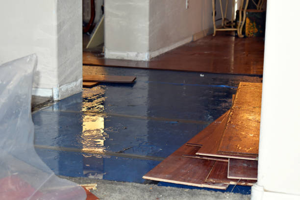 Professional Flood Cleanup technician working in Raymond, WA